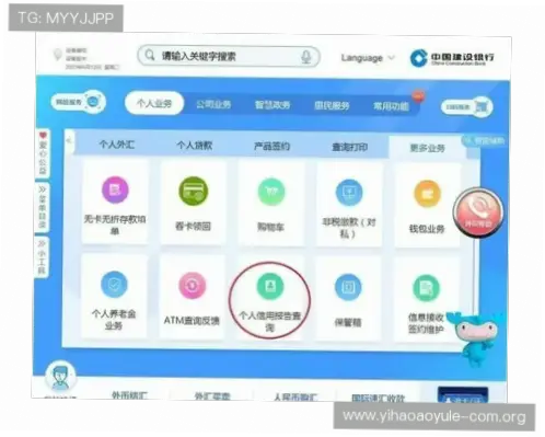 如何避免应用安装中断？官方渠道与权限设置指南
