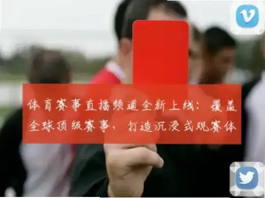 广东体育频道直播：五大精彩看点不容错过，带你沉浸式观赛体验