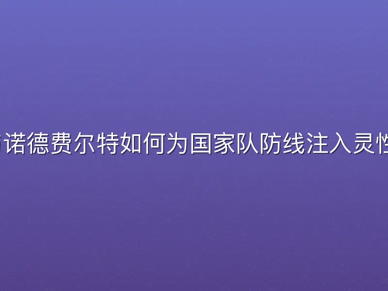 奥尔森与诺德费尔特如何为国家队防线注入灵性与硬度？